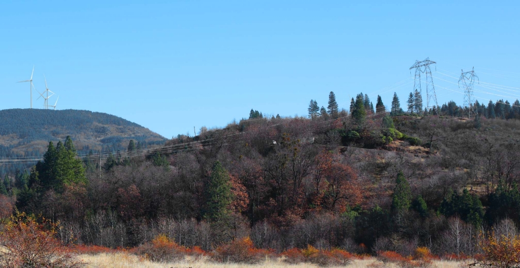 Power lines crossing a mountainous landscape with trees
