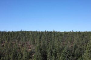 Fountain Fire Overlook (Moose Camp Road, South of SR299) - OVERVIEW