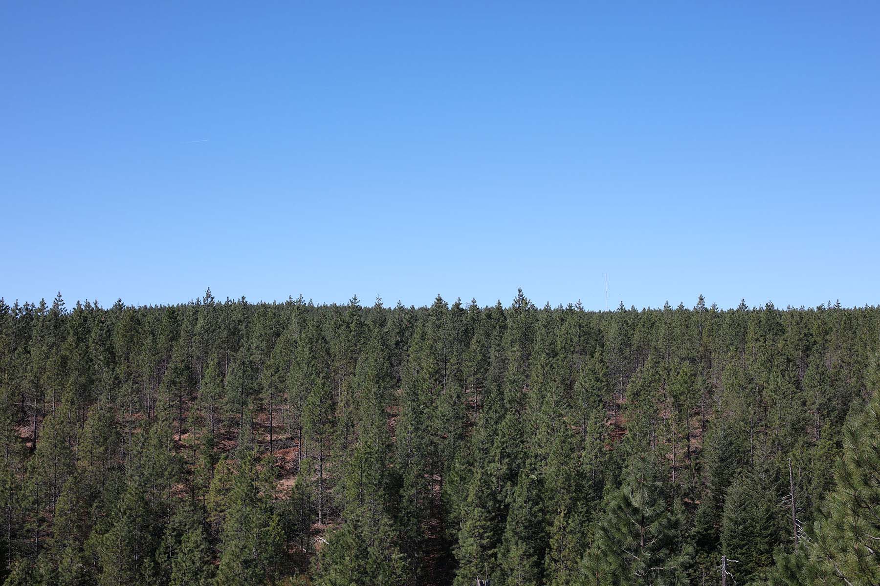 Fountain Fire Overlook (Moose Camp Road, South of SR299) - OVERVIEW